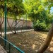 Sector 1 Casa P+M cu doua apartamente si curte  Soseaua Chitilei,